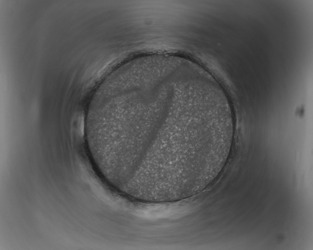 X0000116780021201001071246