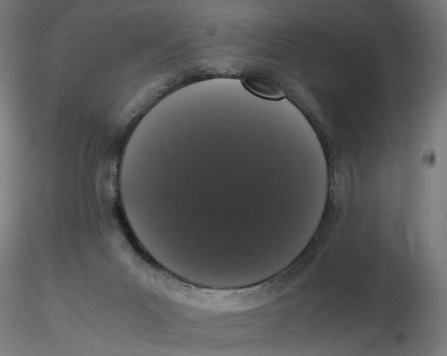 X0000116780023201001071246