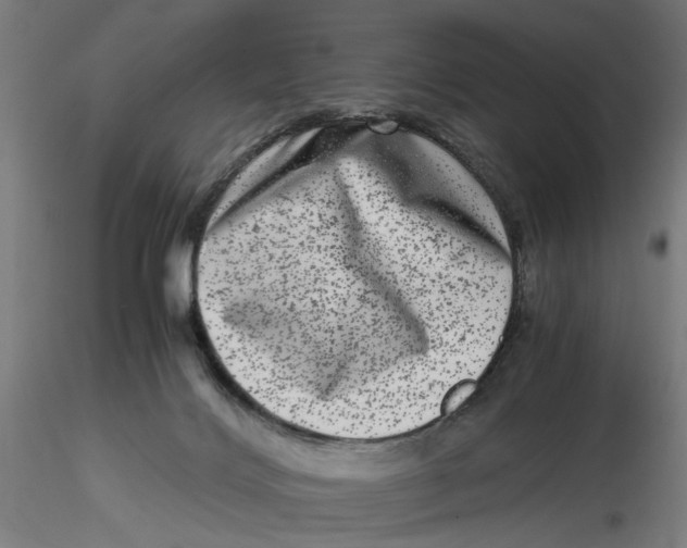 X0000116780028201001071246