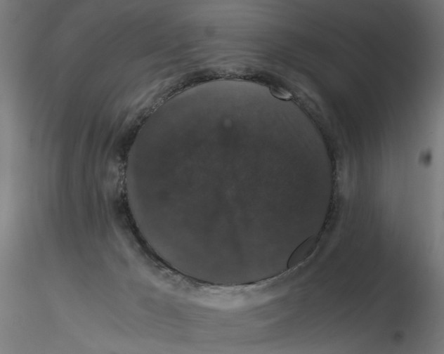 X0000116780029201001071246