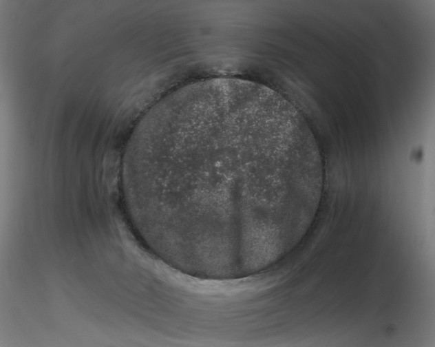 X0000116780030201001071246