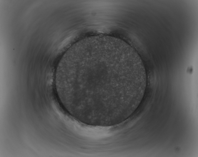 X0000116780032201001071246