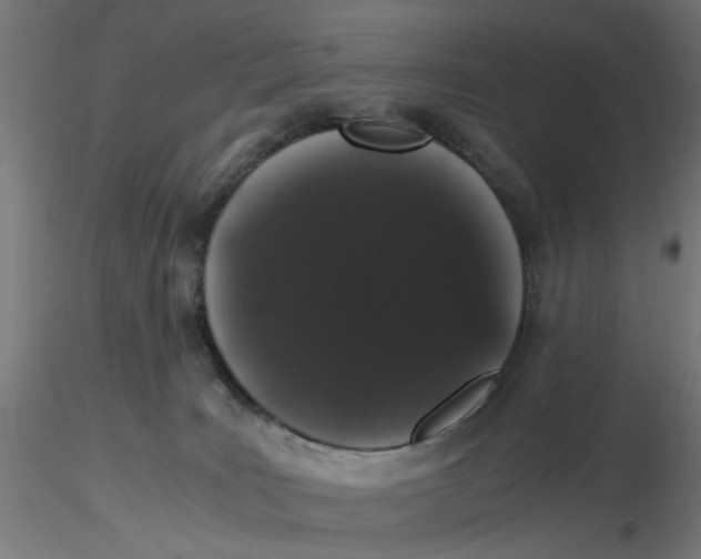 X0000116780035201001071246