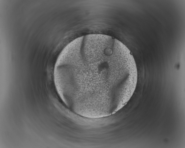 X0000116780038201001071246