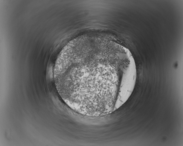 X0000116780042201001071246