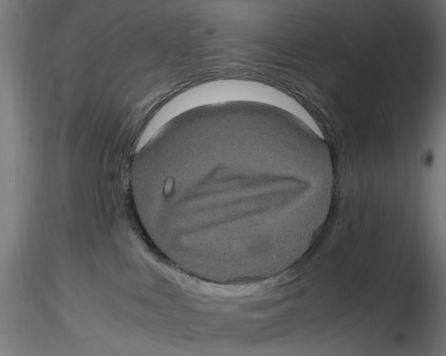 X0000116780043201001071246