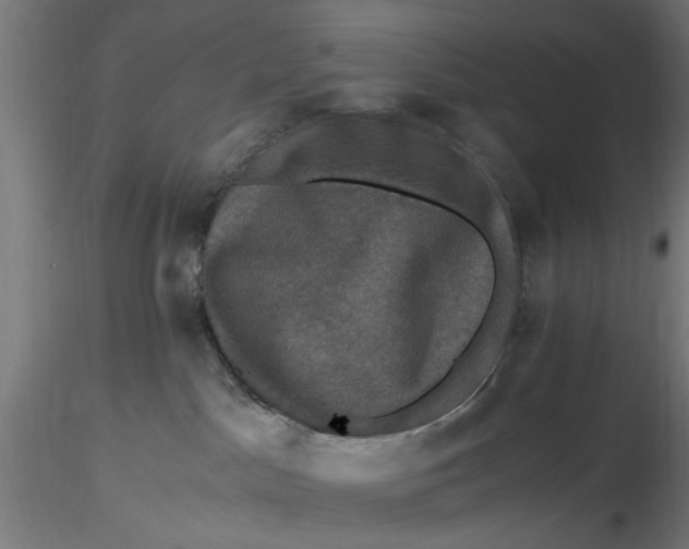 X0000116780045201001071246