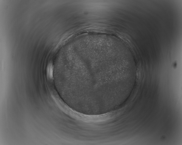 X0000116780046201001071246