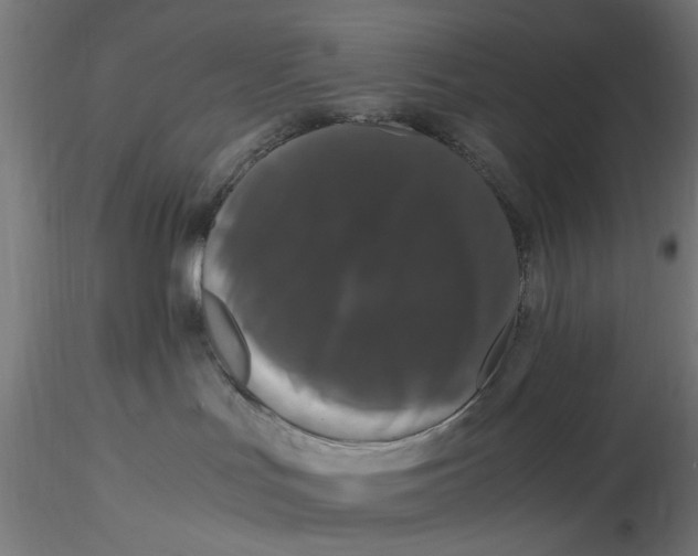 X0000116780047201001071246