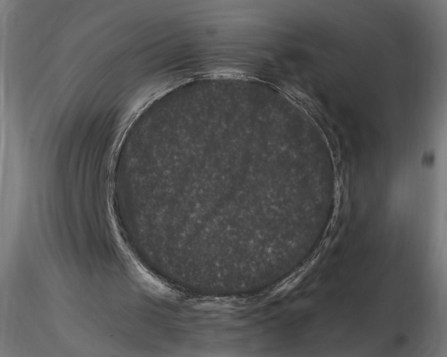 X0000116780049201001071245