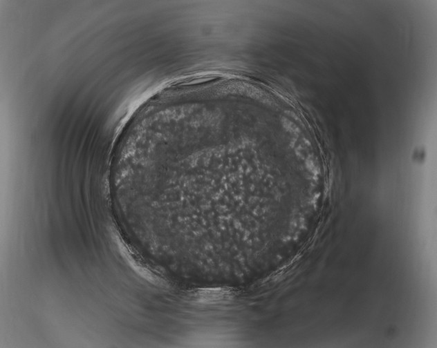 X0000116780050201001071245