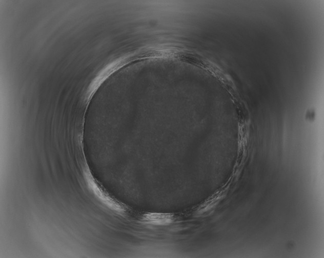 X0000116780051201001071245