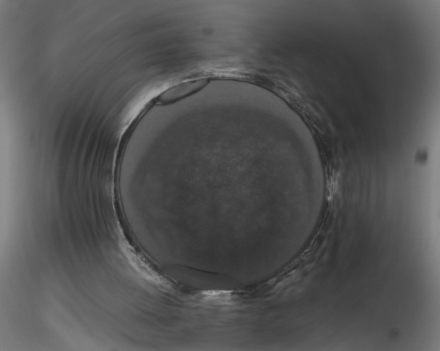 X0000116780052201001071245