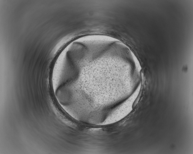 X0000116780054201001071245