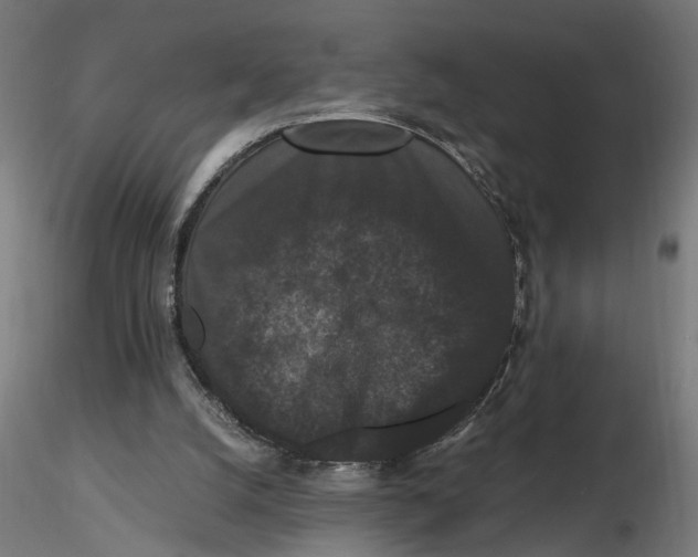 X0000116780056201001071245