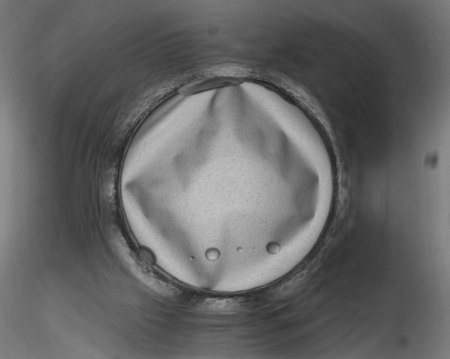 X0000116780057201001071245