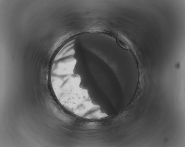 X0000116780059201001071245