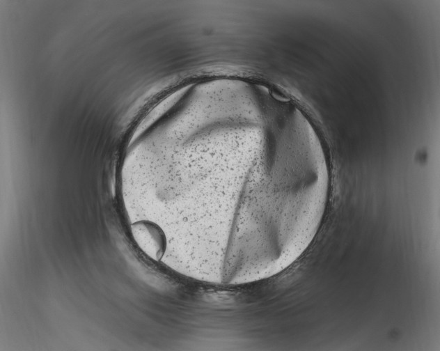 X0000116780062201001071246