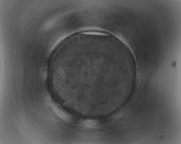 X0000116780063201001071246