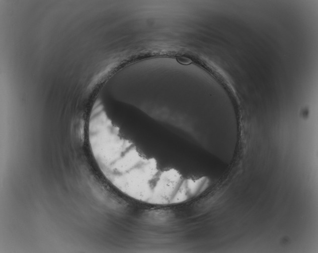 X0000116780067201001071246