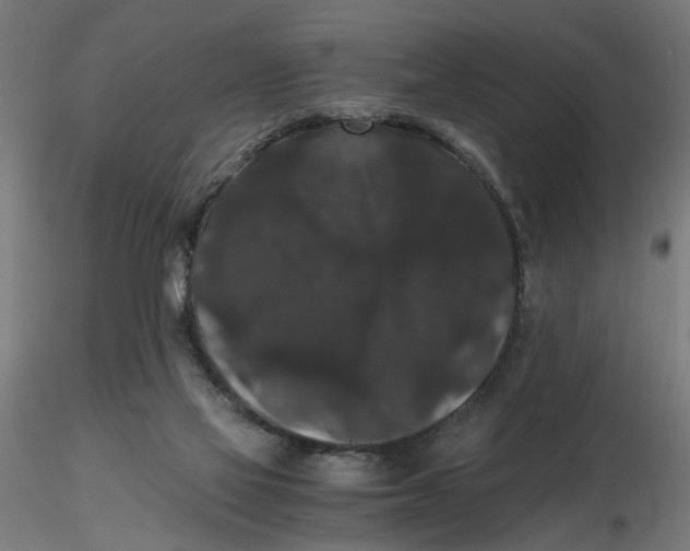 X0000116780069201001071246