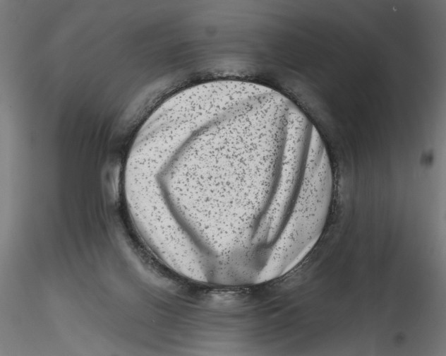 X0000116780070201001071246