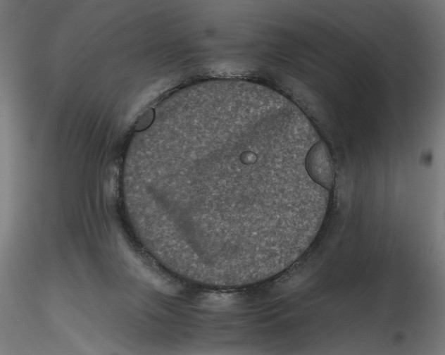 X0000116780071201001071246