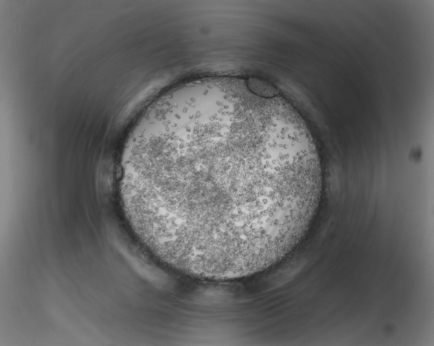 X0000116780072201001071246