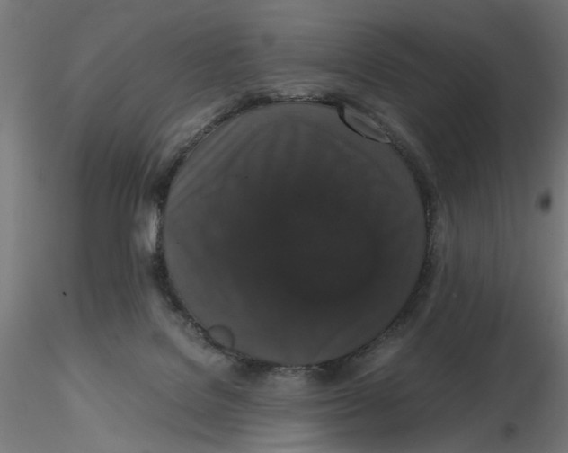 X0000116780076201001071246