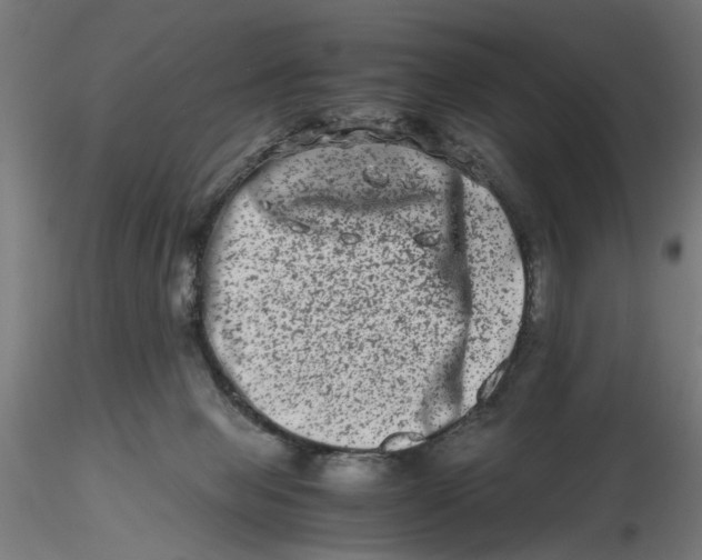 X0000116780077201001071246