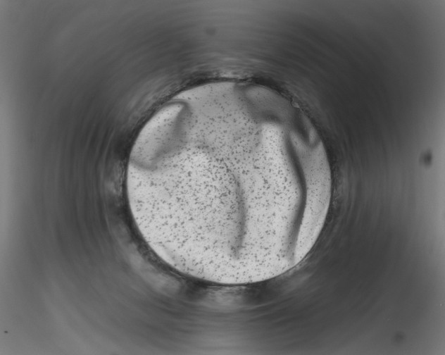 X0000116780078201001071246