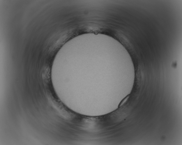 X0000116780079201001071246