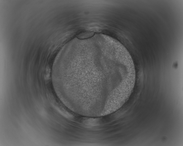 X0000116780081201001071246