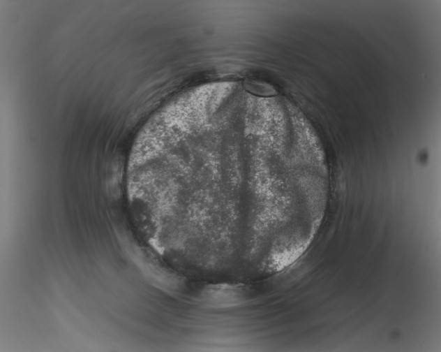 X0000116780082201001071246