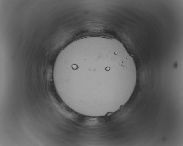 X0000116780083201001071246