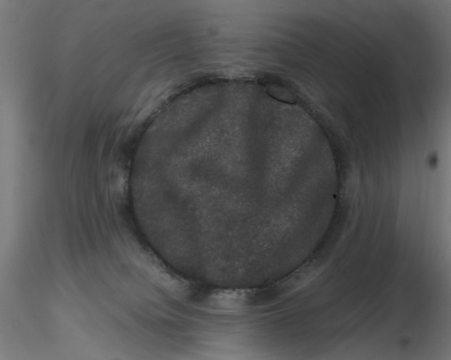 X0000116780084201001071246