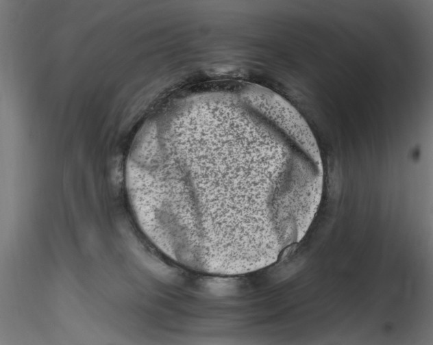 X0000116780085201001071246