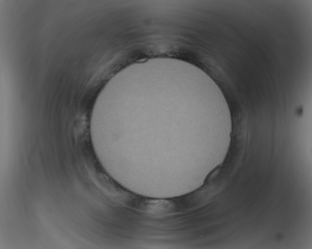 X0000116780087201001071246