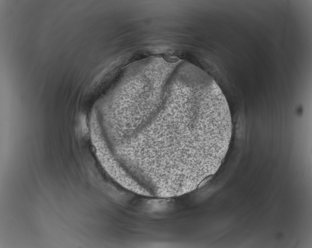 X0000116780089201001071246