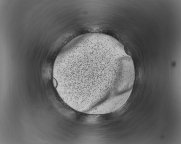 X0000116780090201001071246