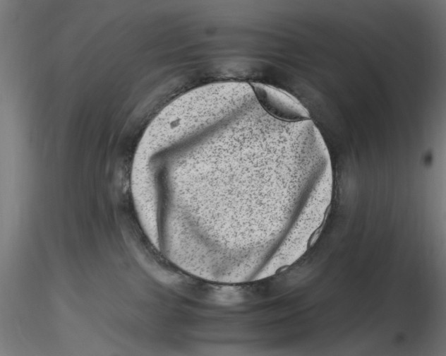 X0000116780091201001071246