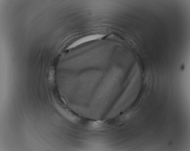 X0000116780092201001071246