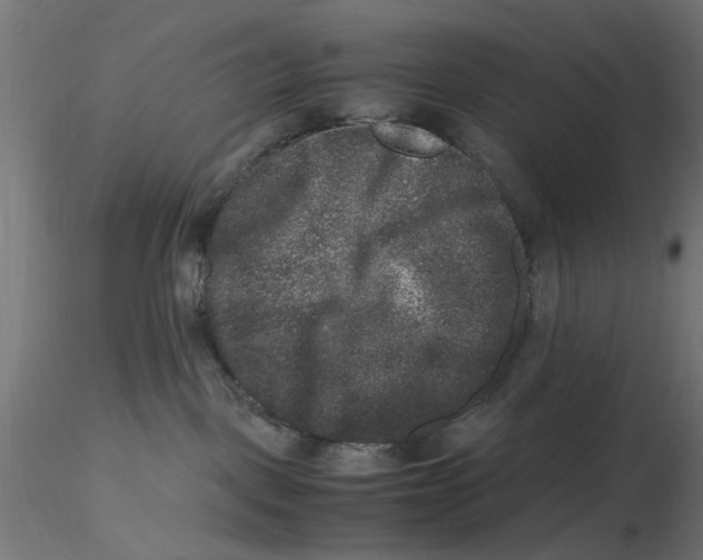 X0000116780093201001071246