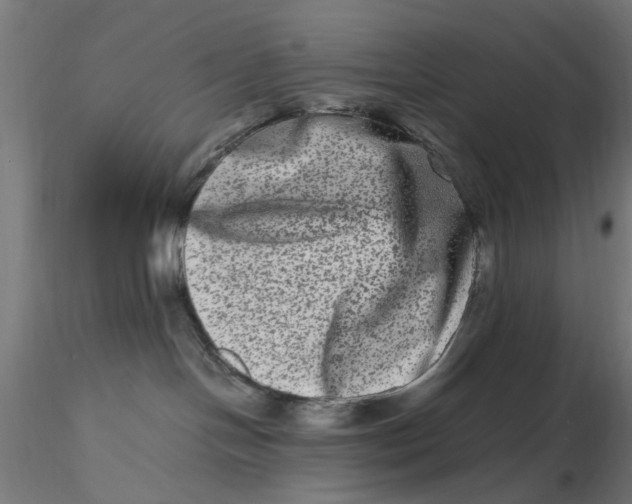 X0000116780094201001071246