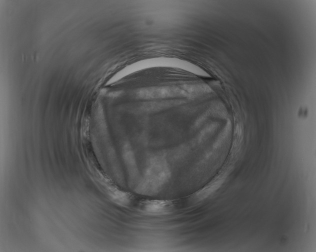 X0000116780096201001071246