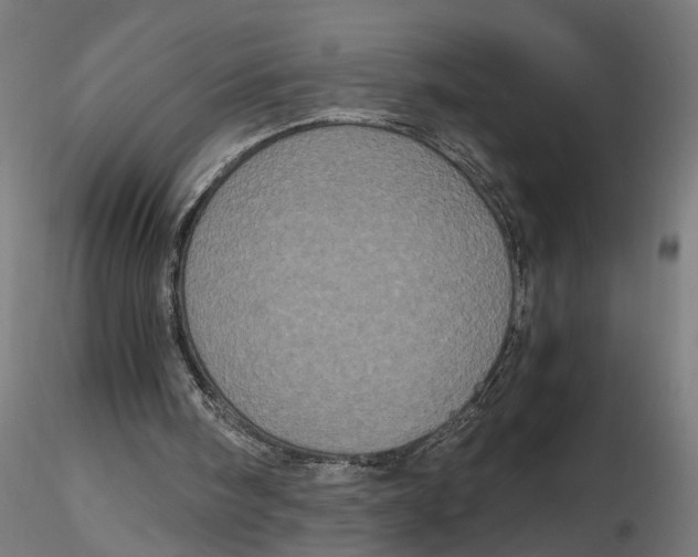 X0000116780098201001071245