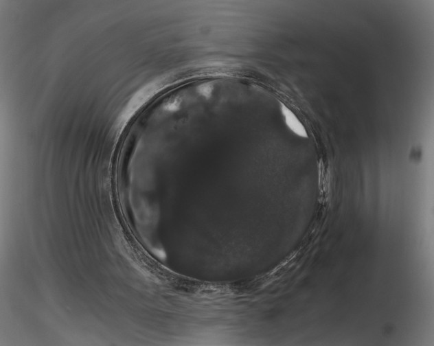 X0000116780099201001071245