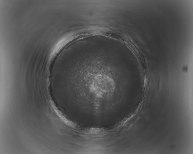 X0000116780101201001071245