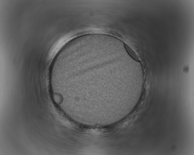 X0000116780103201001071245