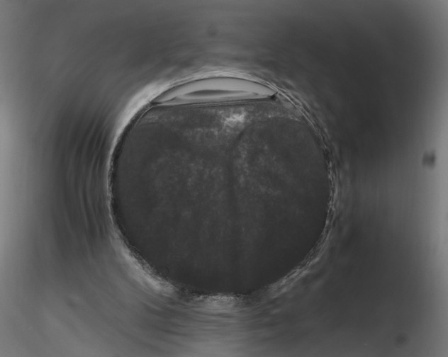 X0000116780104201001071245